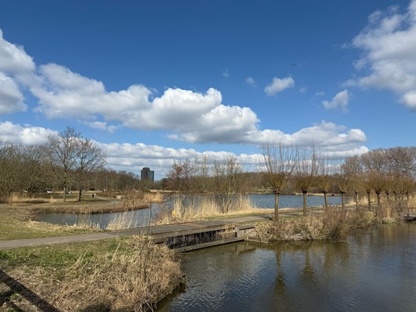 Medium property photo - Klaroenstraat 253, 2287 CG Rijswijk